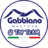 Logo Gabbiano Top Team Mantova